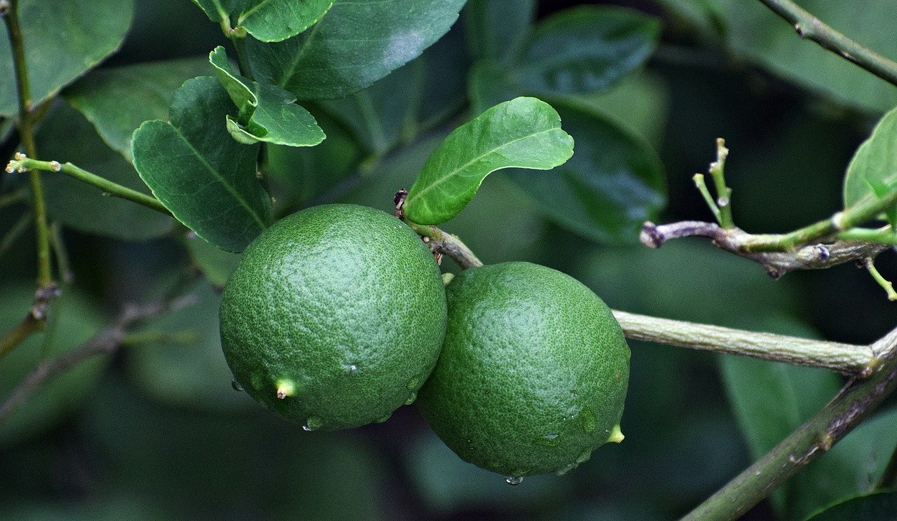 Estos productos también estuvieron caros, como el limón
