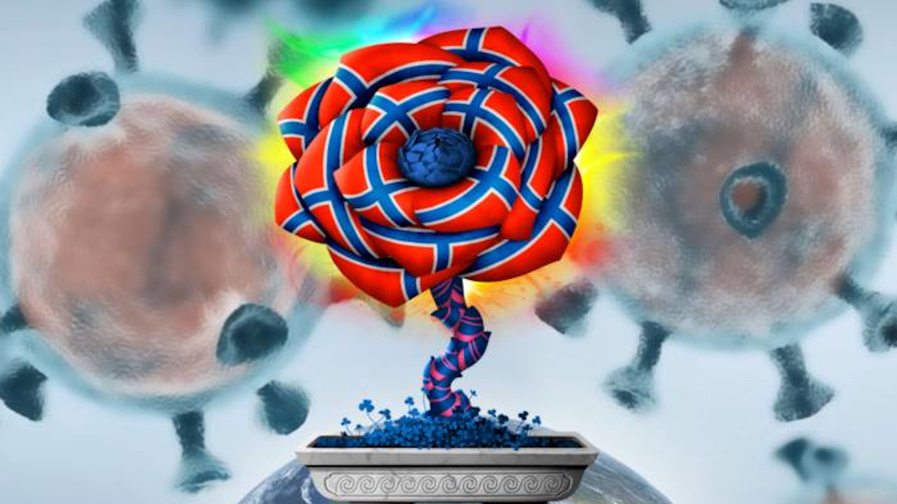 CryptoFlowers: Conoce el regalo ideal de San Valentín para inversionistas