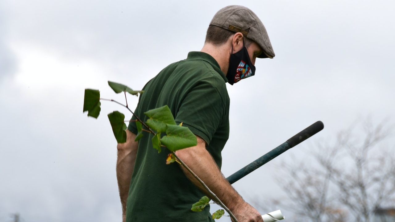 ¿Buscas trabajo? En Canadá puedes recibir 46 mil pesos como jardinero