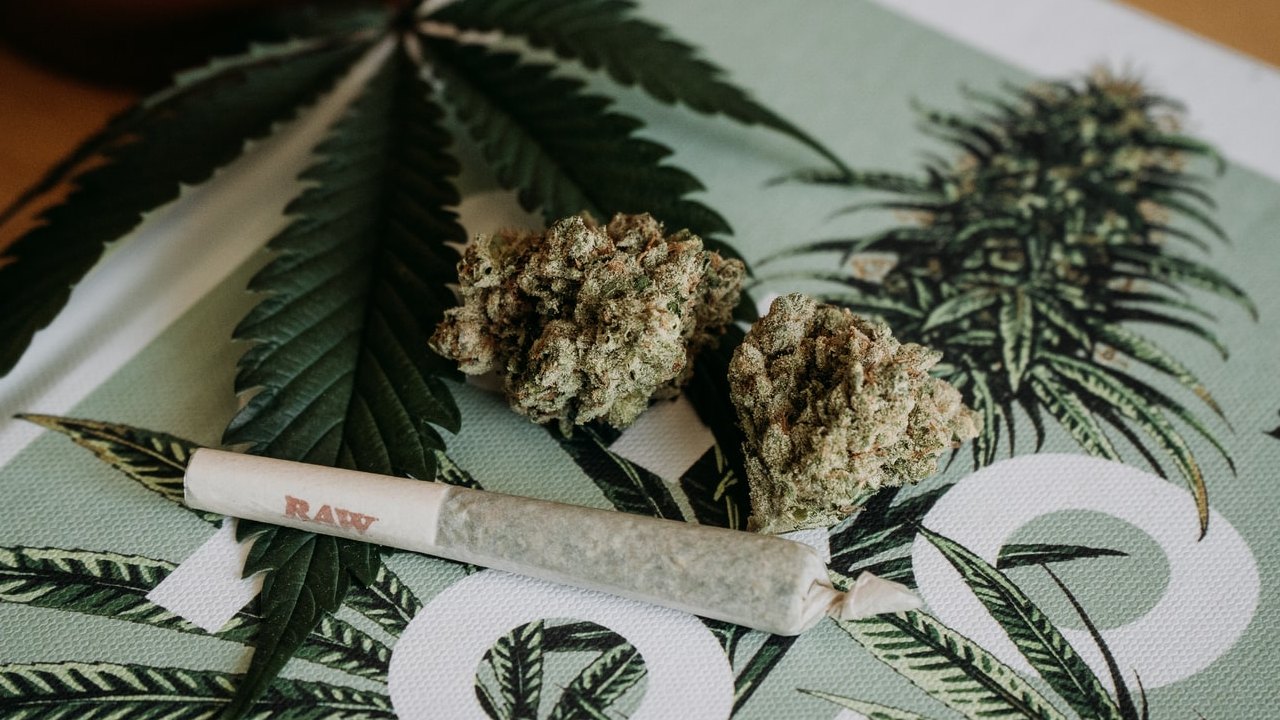 ¿Sabes cuál es el estatus legal del cannabis en México? Descúbrelo