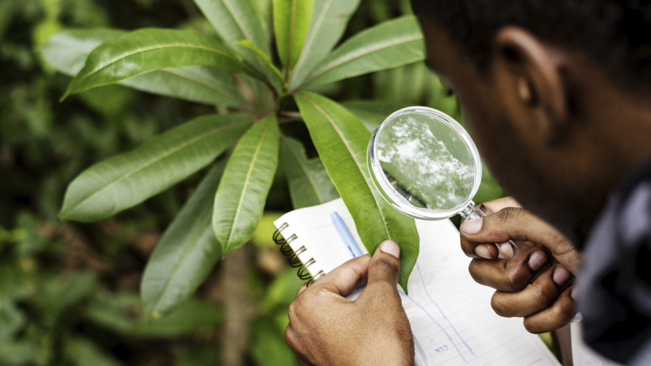 Aplica a las VACANTES de la SEMARNAT, pagan hasta $64 MIL PESOS