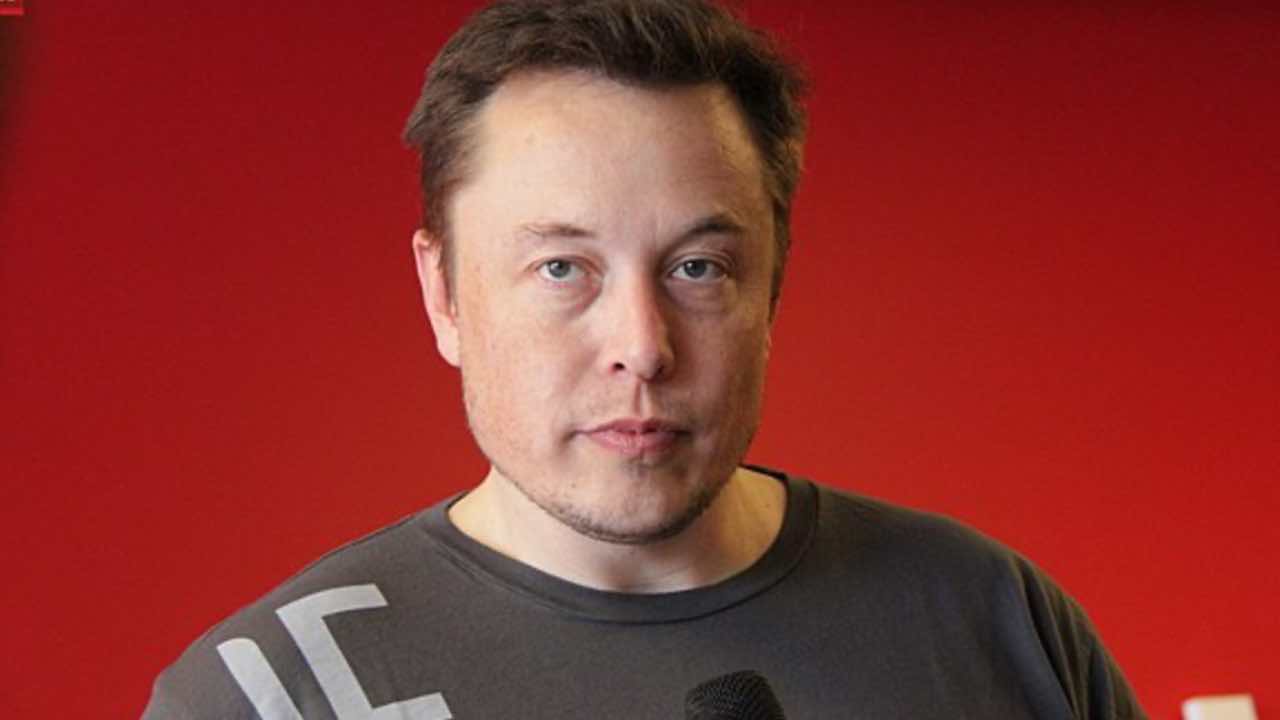 elon musk twitter