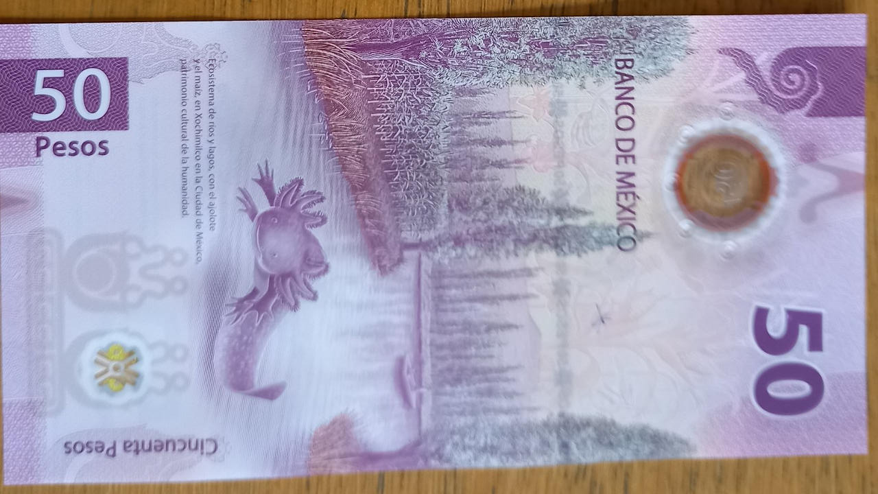 Venden NUEVO BILLETE de 50 pesos hasta en 30 mil pesos