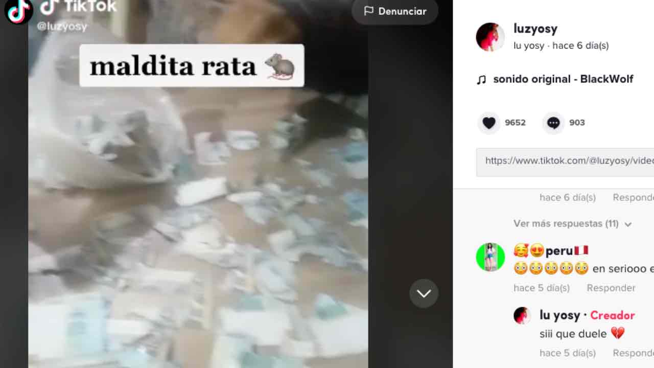 viral TikTok