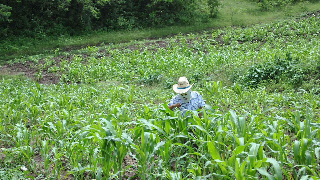 ECONOMÍA de México RETROCEDIÓ 0.2% en mayo: Inegi