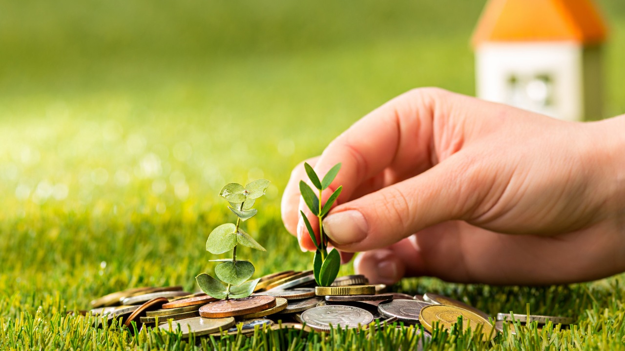 ¿A qué Afore perteneces?