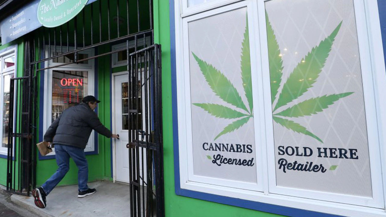 ¡Entre viajes y clases! Canadá tendrá una tienda de Marihuana en Universidad