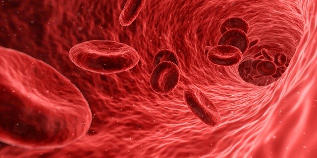 8 PARTES del CUERPO humano que se pueden VENDER