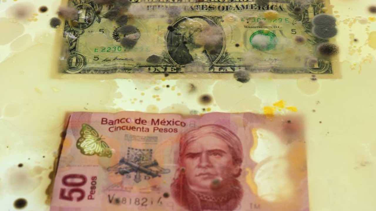 Billetes contienen hasta 3.000 tipos de microbios: Estudio