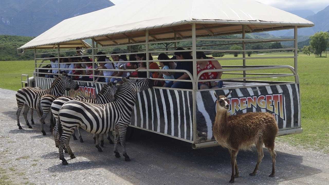 ¿Cuánto cuesta la ENTRADA a BIOPARQUE ESTRELLA en 2022 y qué PROMOCIONES TIENE?