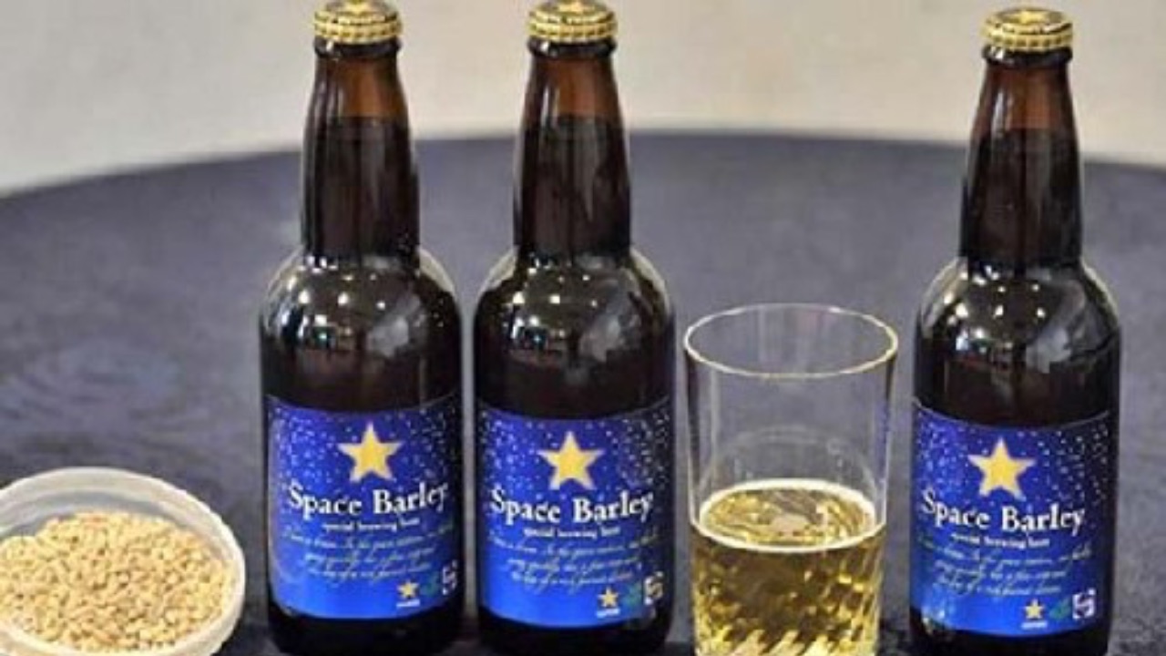 Space Barley, una de las cervezas más caras del mundo, se elaboró en el espacio