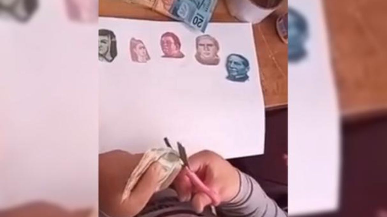 VIDEO: Niña recortó billetes para ilustrar su tarea