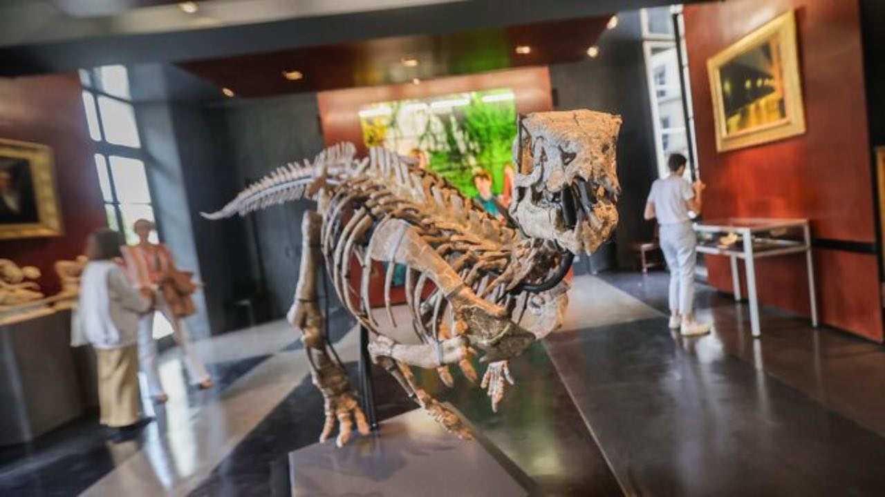 Dinosaurio de 150 millones de años se subasta en París