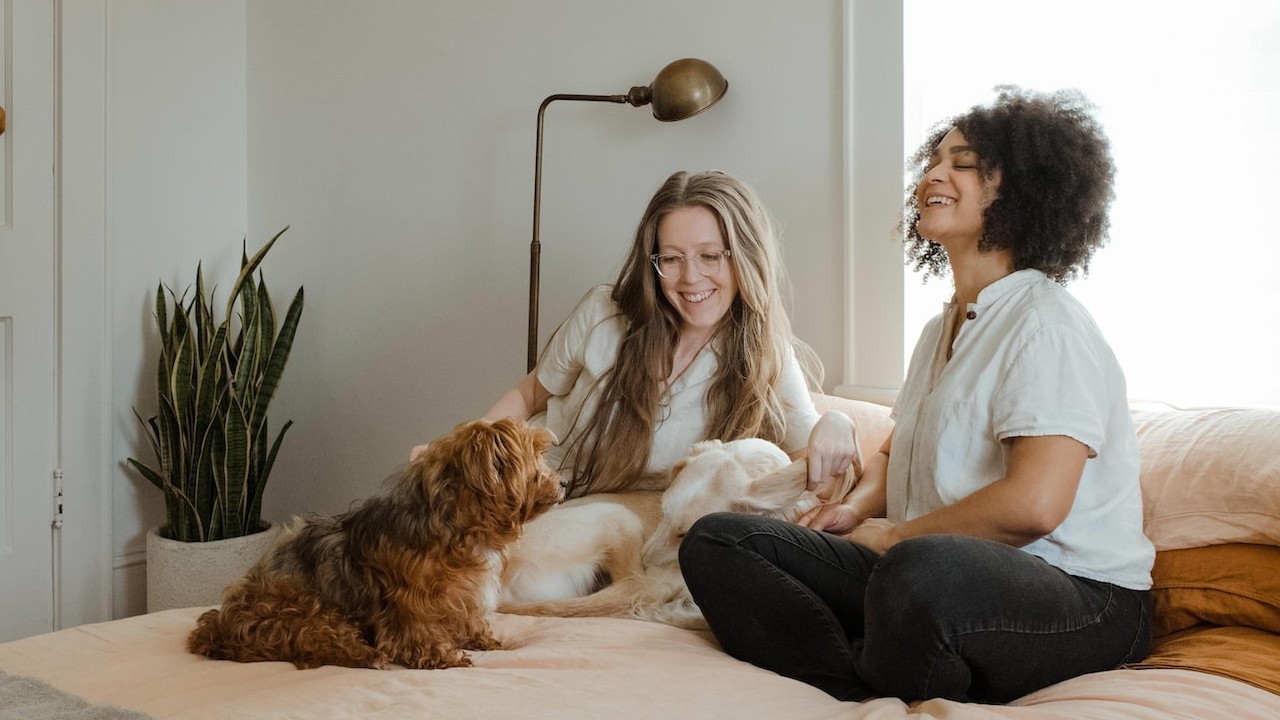 ¿Es posible heredar PROPIEDADES y DINERO a tus MASCOTAS?