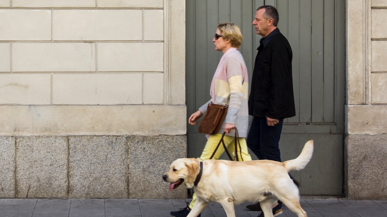 Pagos para adultos mayores