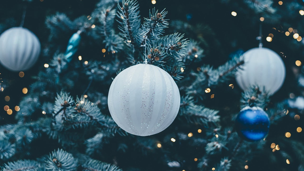 ¿Cómo poner tu ÁRBOL de NAVIDAD sin gastar de más?