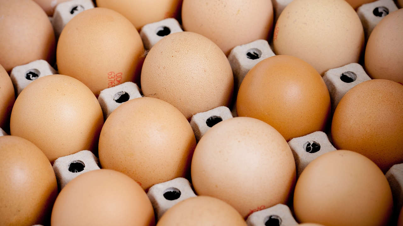 Alza del huevo se contagia de EEUU a México: ya cuesta 48 pesos el kilo