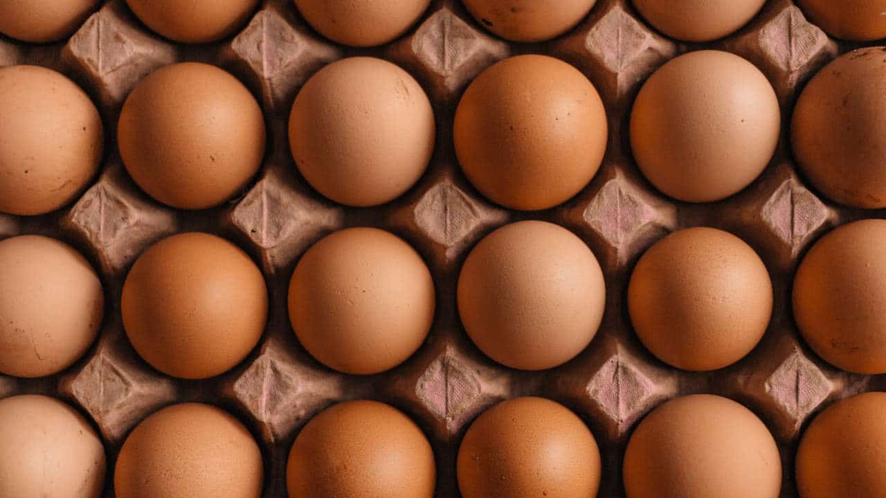 Inflación retrocede a 7.76% en la primera quincena de febrero