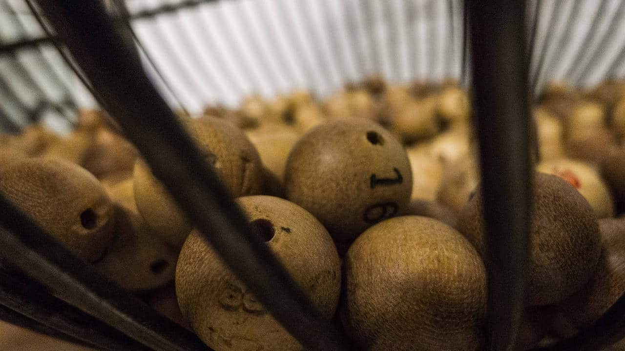 Lotería: ¿una inversión inteligente o una pérdida de dinero?