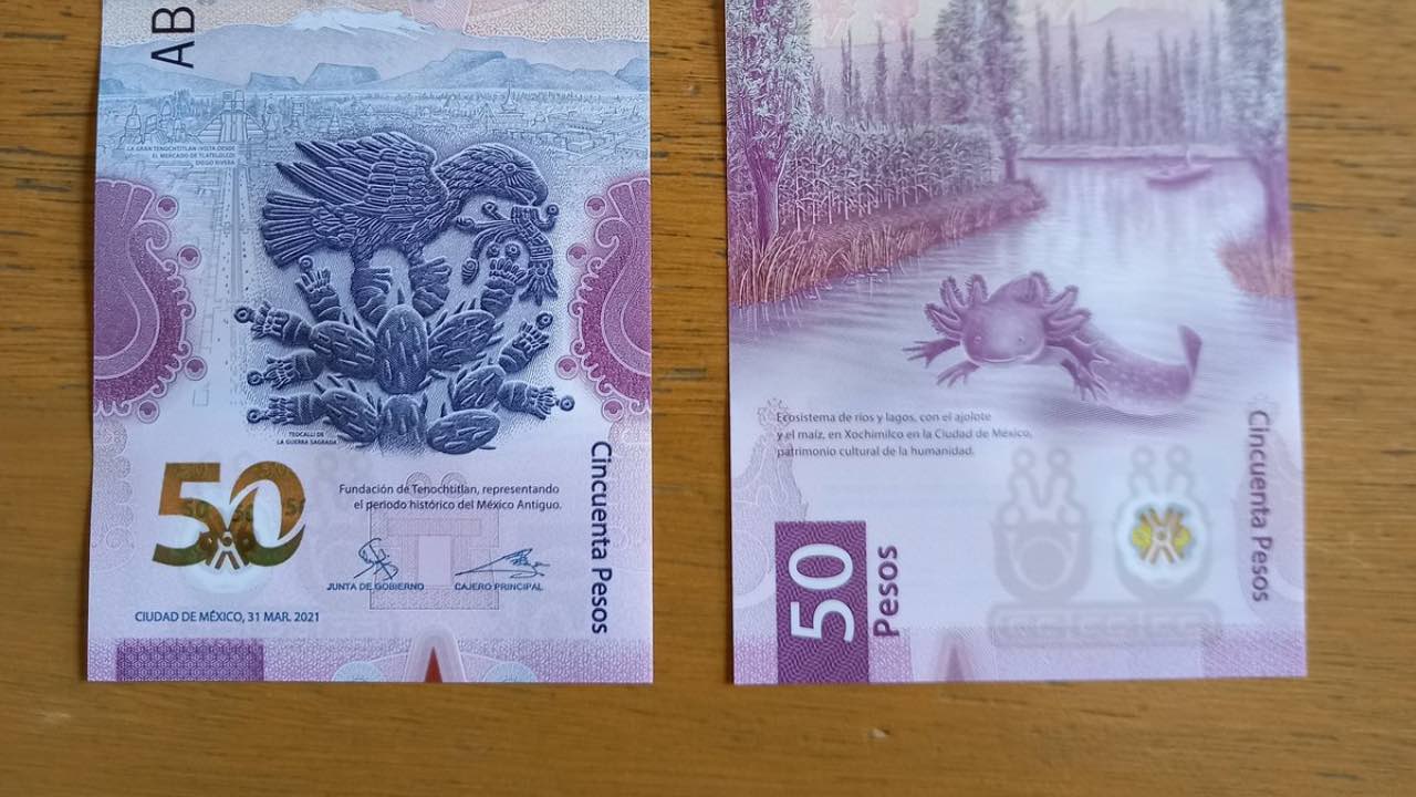 Billete de ajolote nuevo se vende en 20 mil pesos en internet
