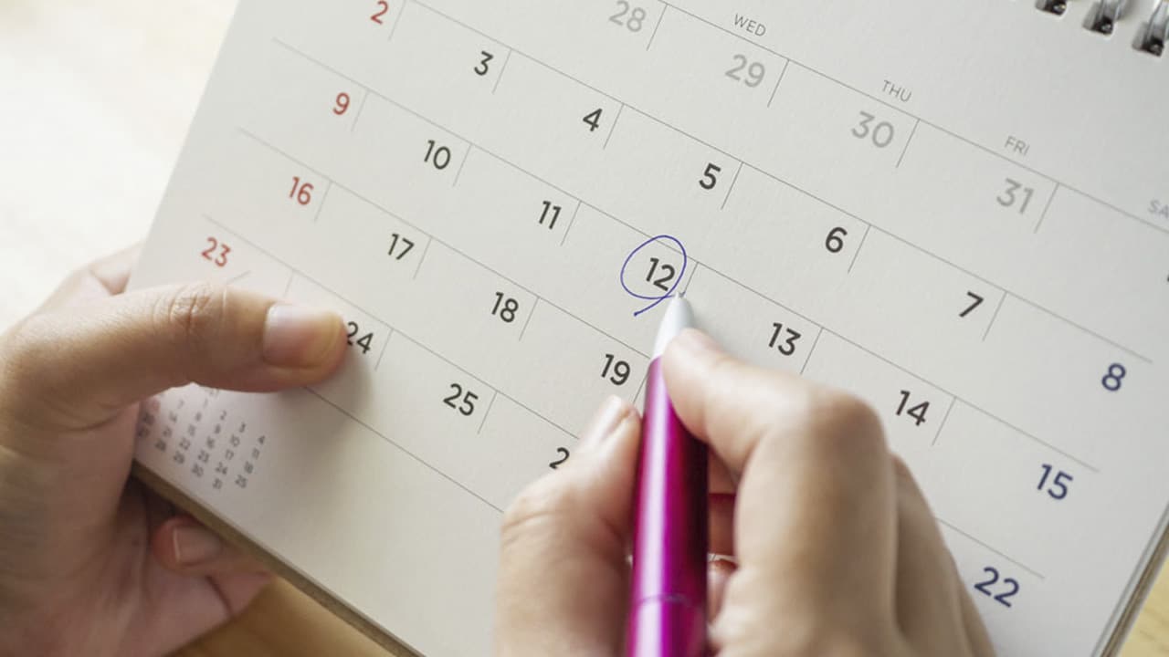 SEP 2023: ¿Cuándo llega el segundo puente de febrero?