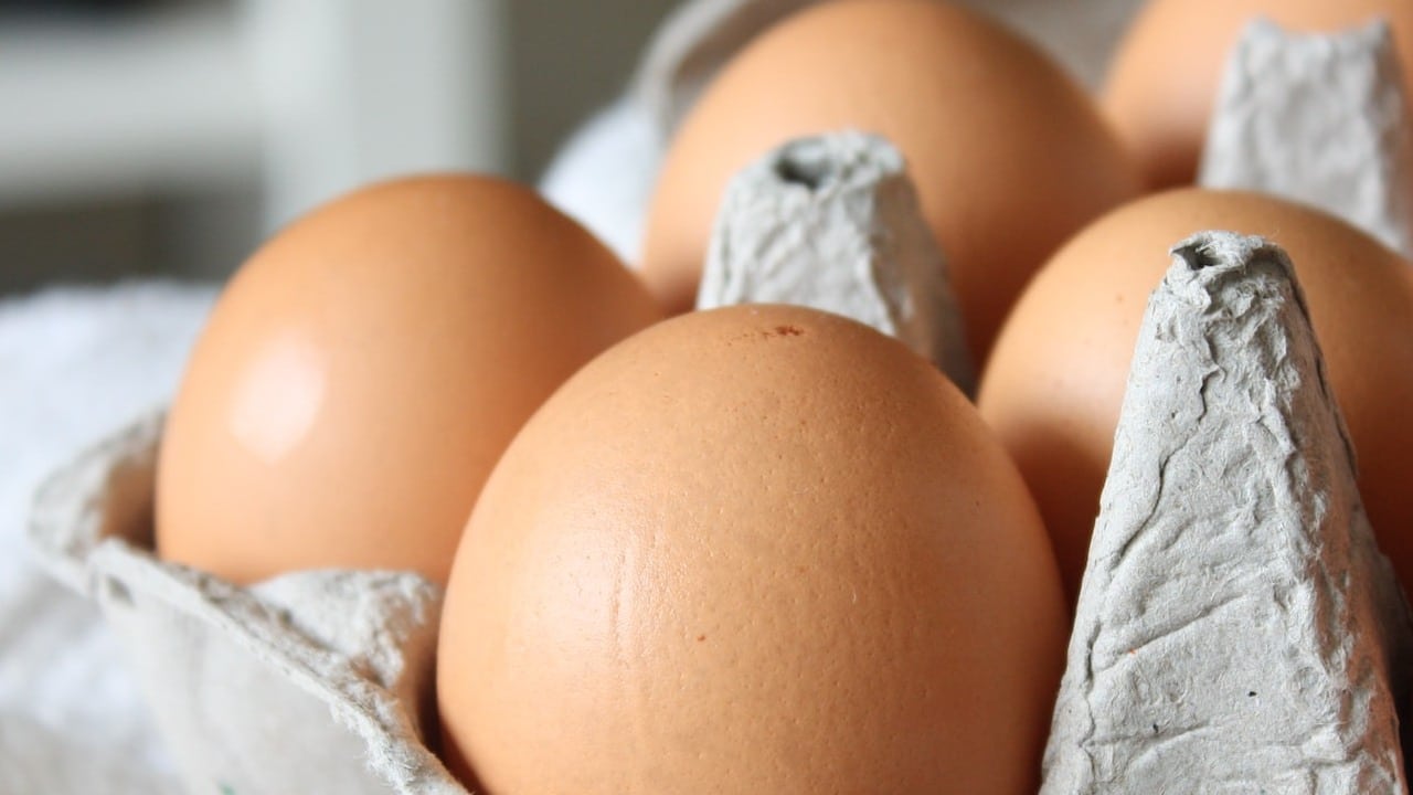 ¿Dónde puedes encontrar huevo a buen precio según Profeco?