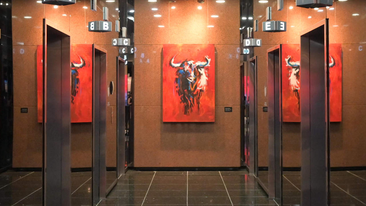 ¡Lánzate a conocer las exposiciones artísticas del Museo de la Bolsa!