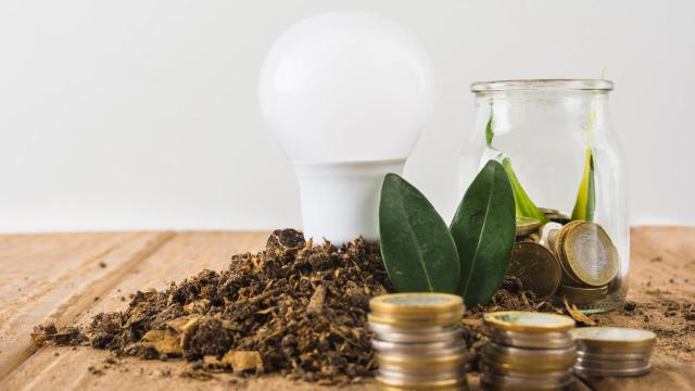 Consejos para invertir tu dinero mientras cuidas del medio ambiente