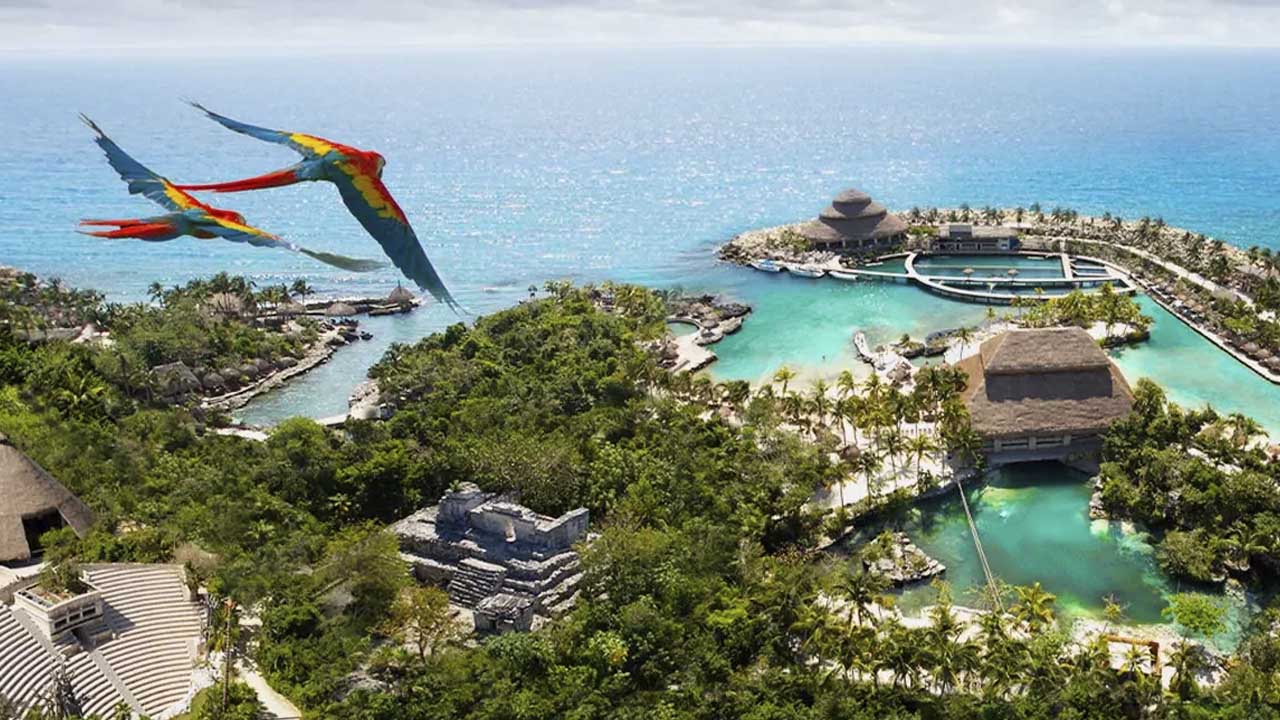 ¿Quién es dueño de Grupo Xcaret?
