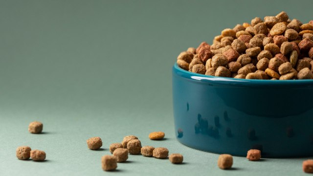 Alimento para perros: ¿Te engañan los empaques?