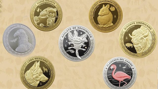 Casa de Moneda emite medalla conmemorativa del Ajolote