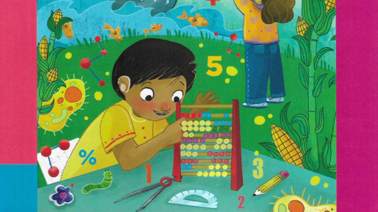 Matemáticas: ¿Fuera de los libros y planes de la SEP?