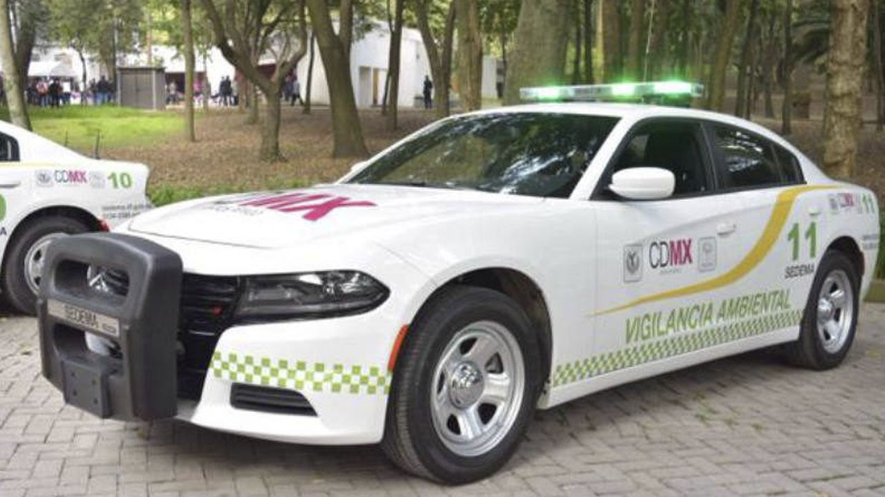 ¿Qué multas pueden aplicar la patrulla ambiental de la CDMX?