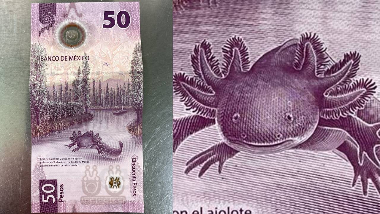 Billete de 50 pesos que puede valer hasta 4 millones