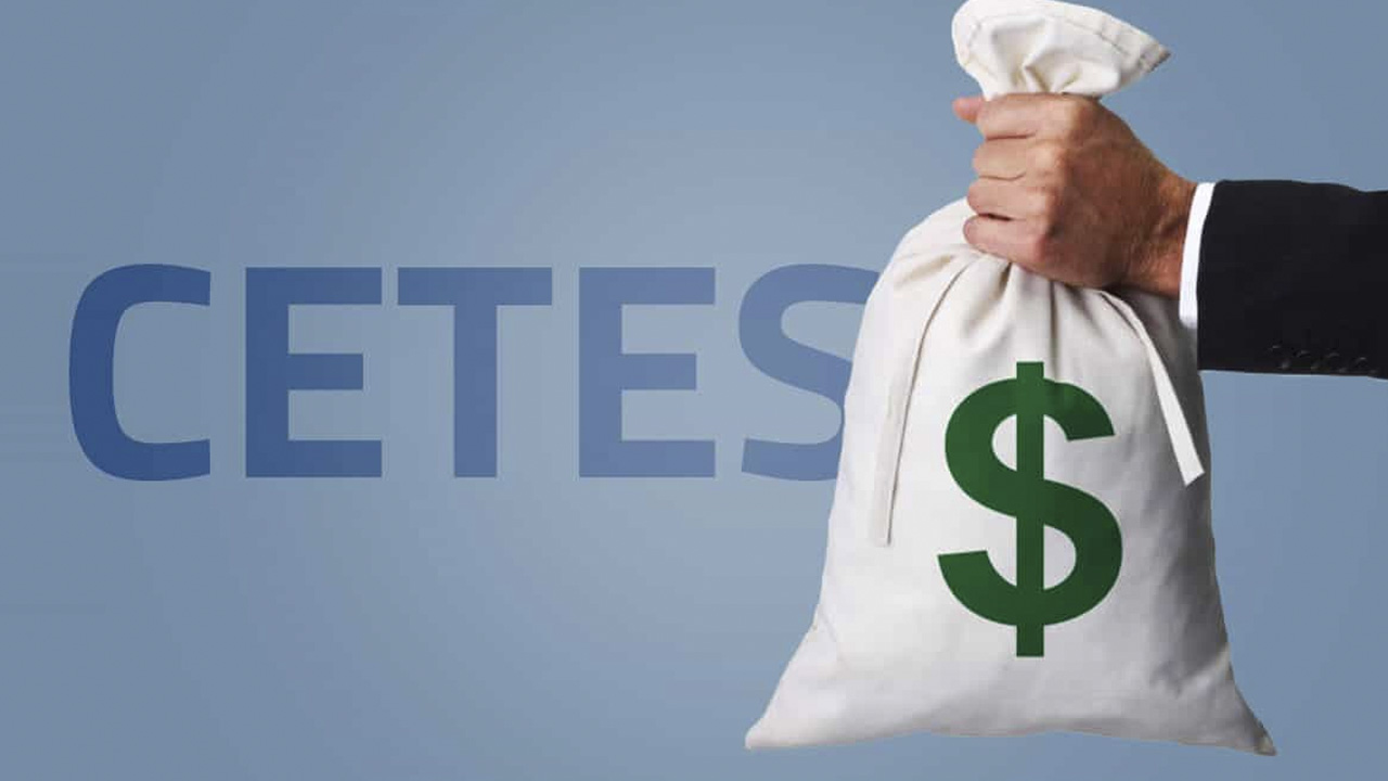 CETES:  Esto debes invertir para ganar 300 pesos al día