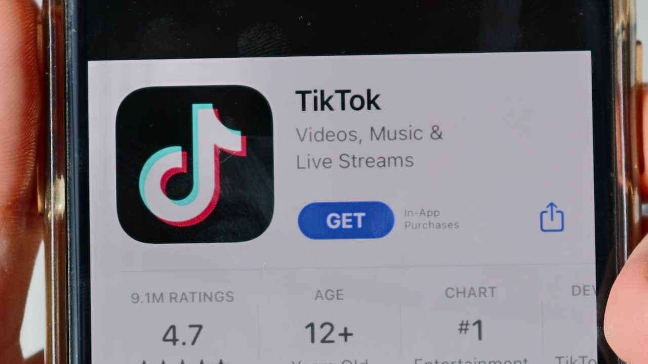 ¿Ya conoces al dueño de TikTok? Hazlo ahora
