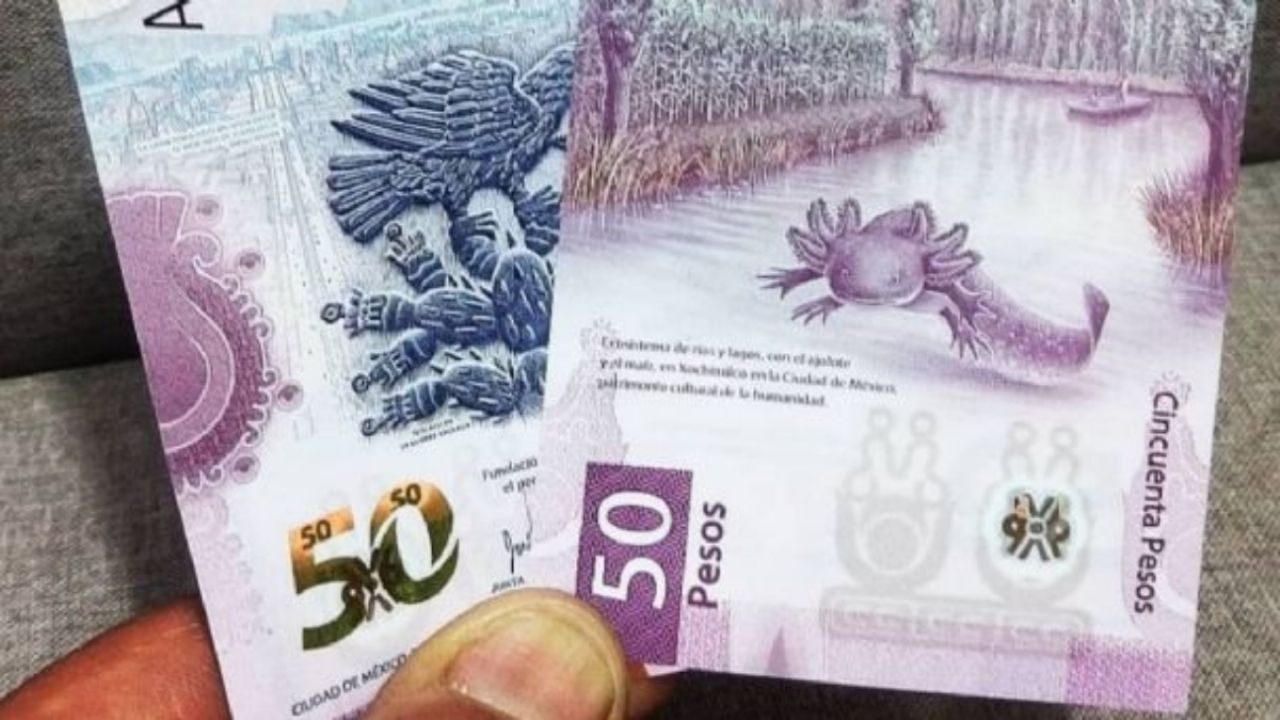Billete de ajolote tiene un alto valor si tiene este número de serie