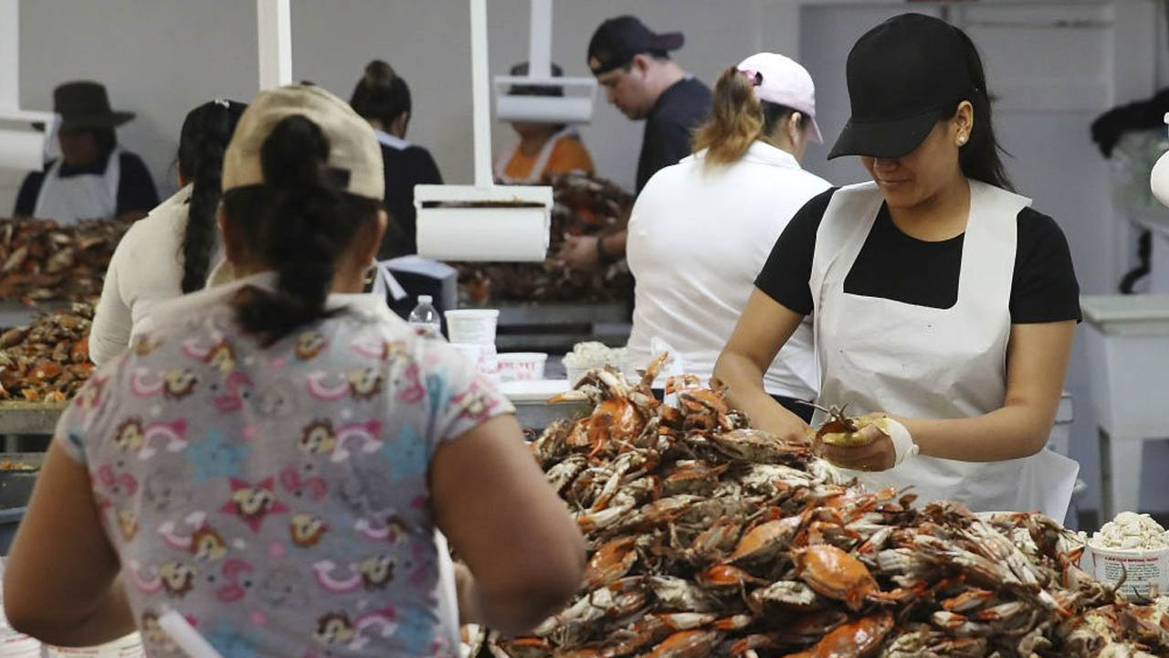 EE.UU. emitirá el doble de Visas en 2024: Estos son los trabajos disponibles