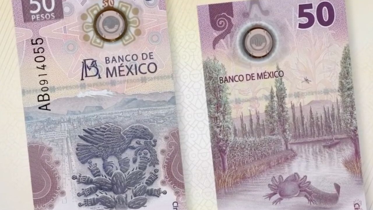 Características que hacen especial al billete de ajolote
