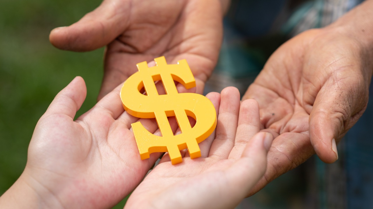 Precio del Dólar Hoy 12 de Diciembre: ¿Cómo le va al peso mexicano?