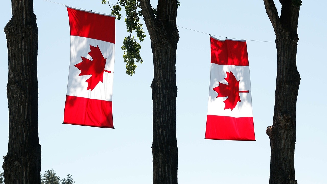 Conoce la vacante en Canadá de 35 mil pesos mensuales para mexicanos